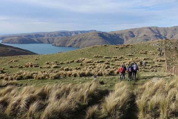 Port Hills and Evans Pass views from Lyttelton Cruise Port