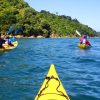 Queen Charlotte Sound Guided Kayak Tour