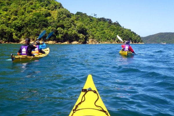Queen Charlotte Sound Guided Kayak Tour