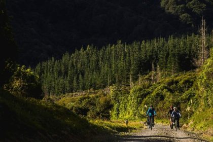 Remutaka Rail Trail E-Bike Exploration