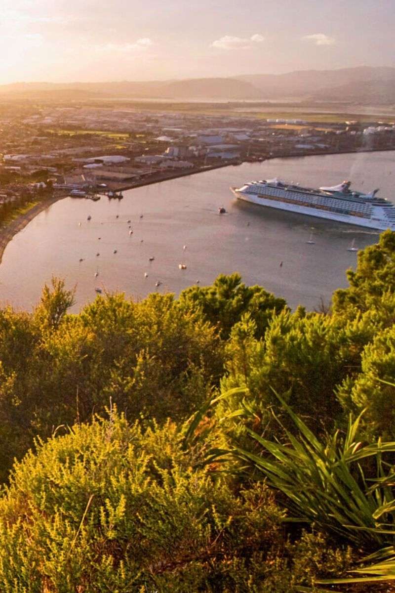 Tauranga harbour sunset - Tauranga tours