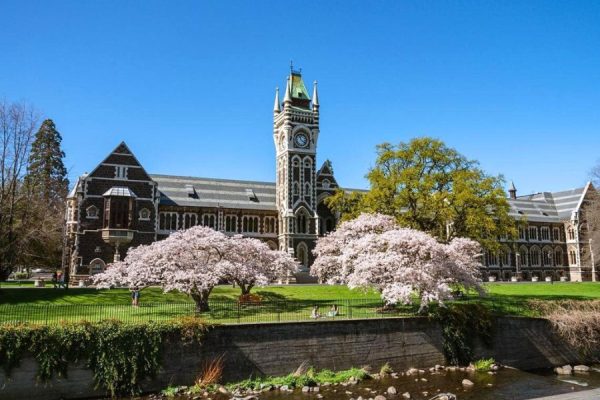 University of Otago clock tower from cruise port