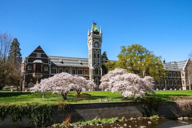 University of Otago clock tower from cruise port
