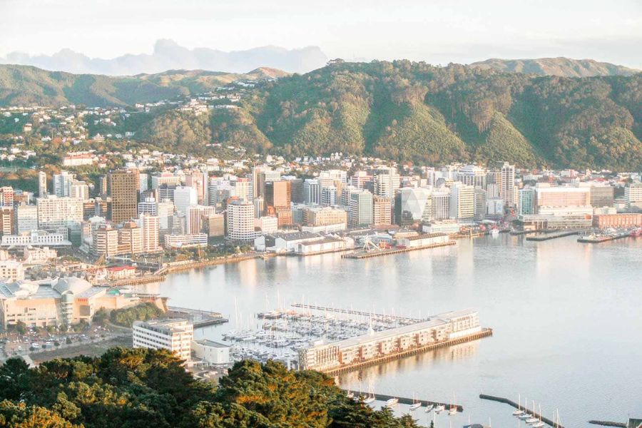 Wellington harbour -Wellington shore excursions