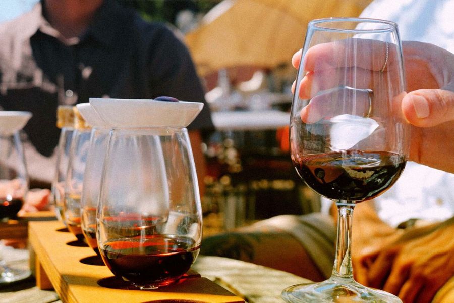 Wine tasting -Auckland shore tours