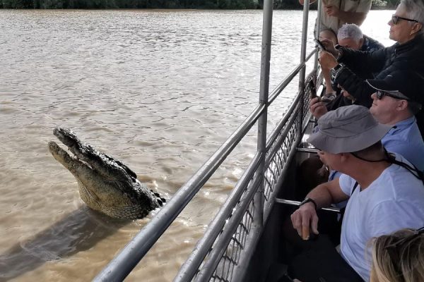 Adelaide River Crocodile Cruise Shore Excursions