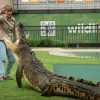 Australia Zoo - Brisbane shore excursions