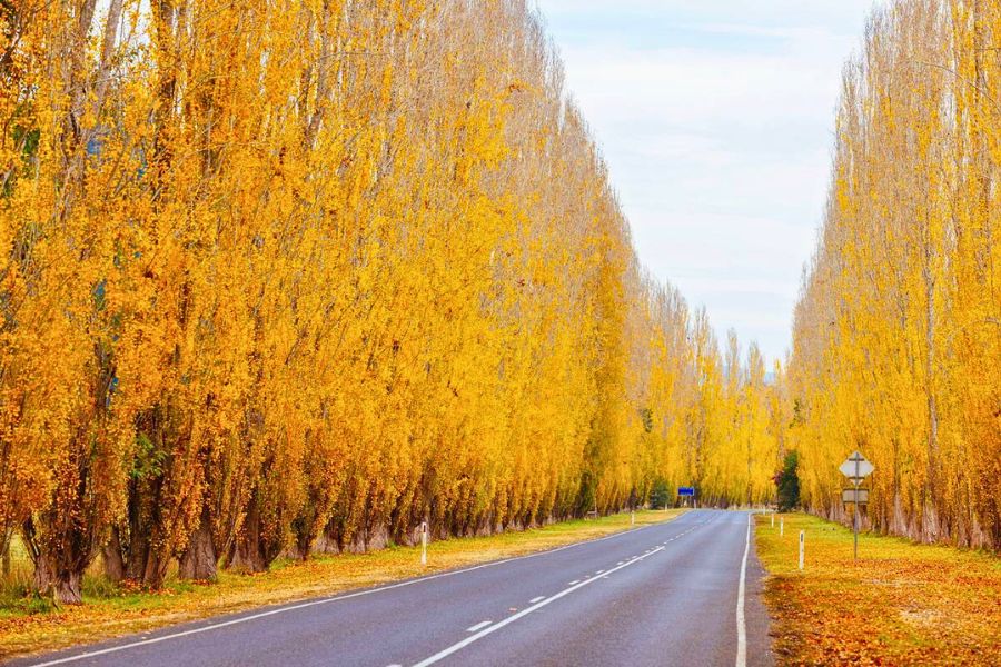 Australia in Autumn (March to May)