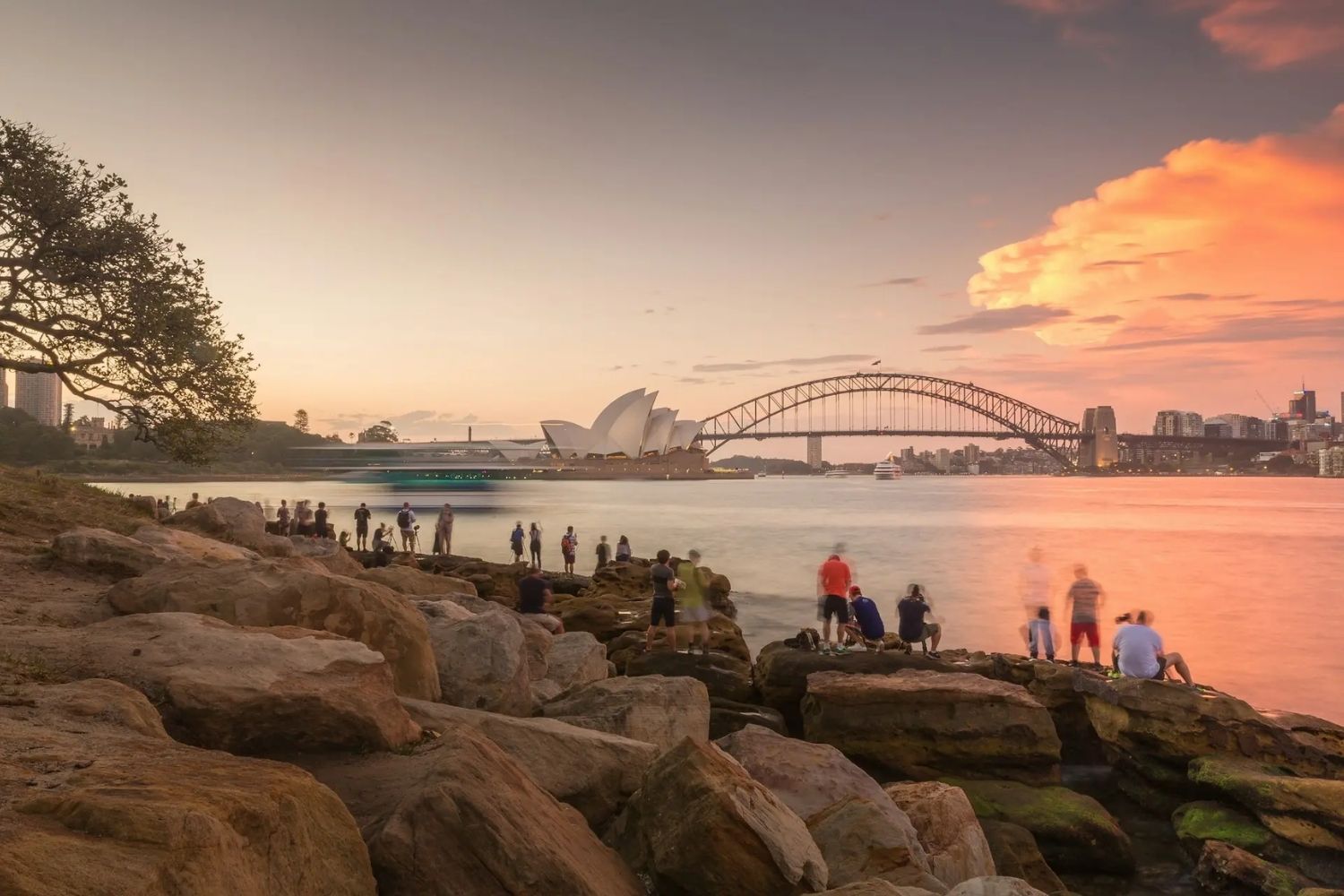 Best Time for Sydney shore excursions