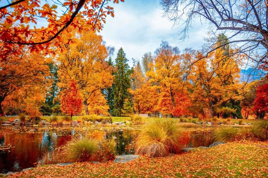 Best Time to Visit New Zealand for Gardens and Wildlife