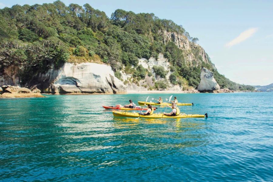 Best Time to Visit New Zealand for Outdoor Adventures