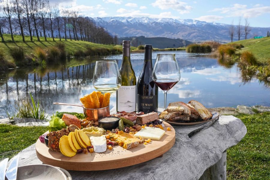 Best Time to Visit New Zealand for Wine Experiences