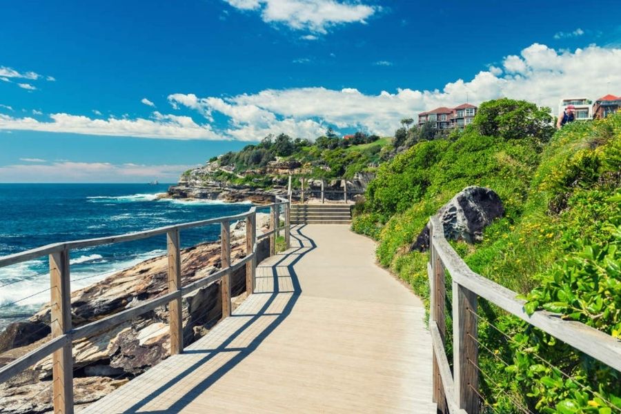 Bondi to Coogee Coastal Walk - Sydney Excursions