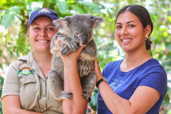 Brisbane Shore Excursions