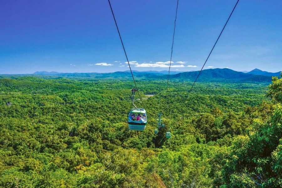 Cairns Rainforest -Cairns excursions