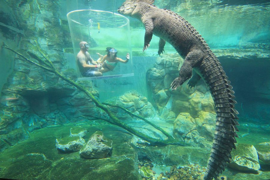 Darwin Shore Excursions for Cruise Passengers