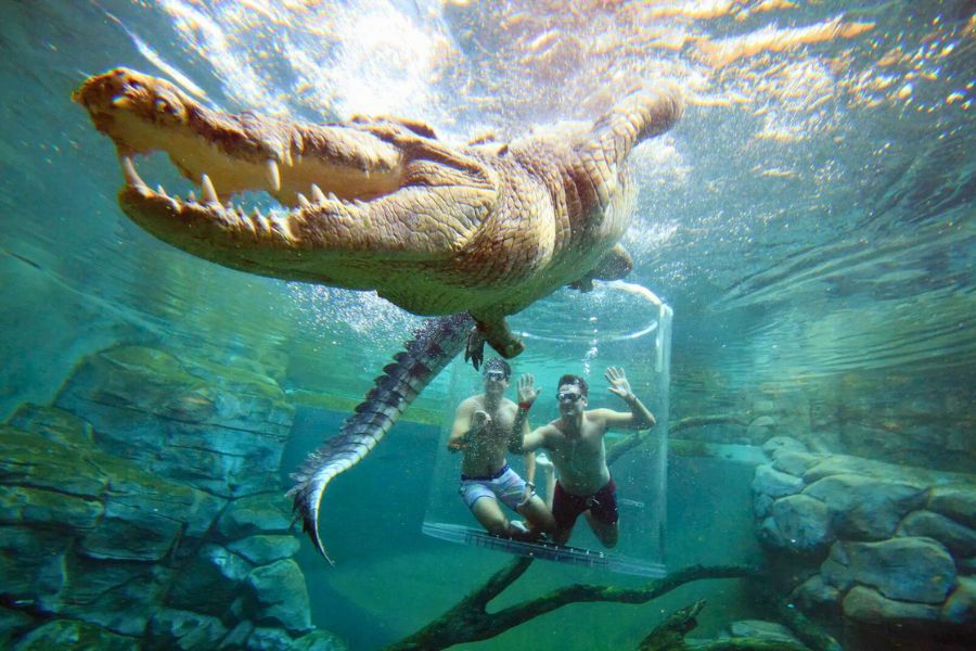 Darwin Australia excursions