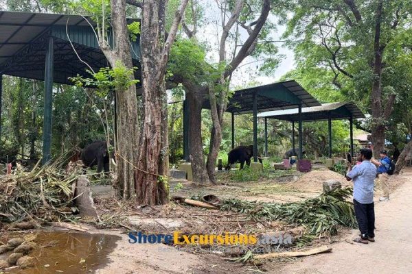 Elephant temple in Kerala village