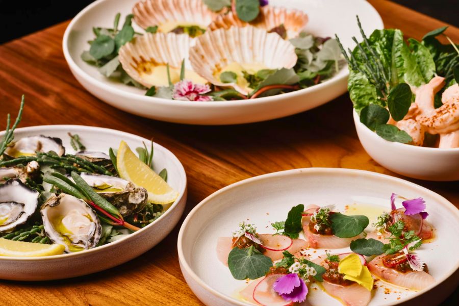 Fresh Seafood - Brisbane shore excursions