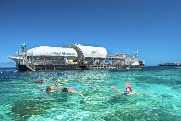 Glass Bottom Boat Reef Experience