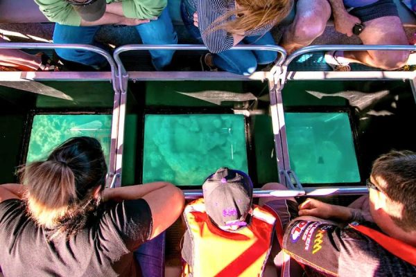 Glass bottom boat tour