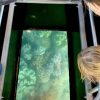 Great barrier reef viewing tour