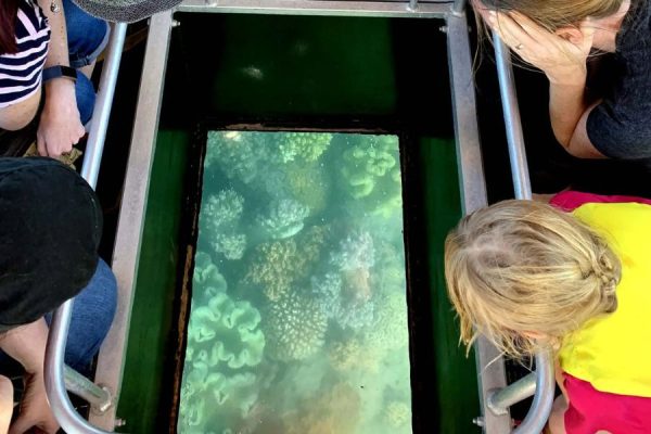 Great barrier reef viewing tour