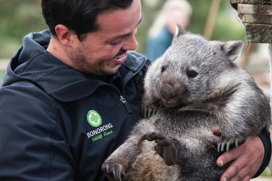 Hobart shore excursions from cruise port