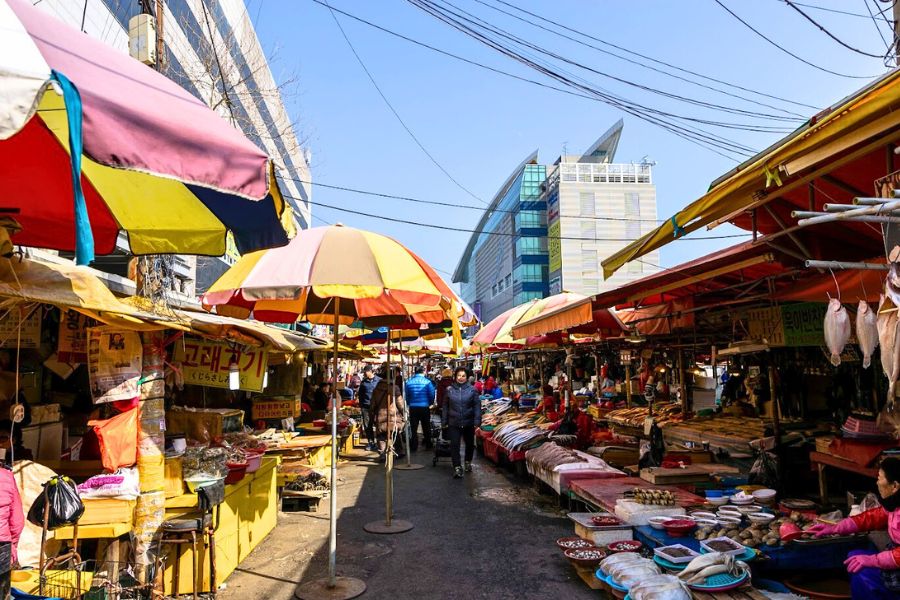 Jagalchi Market Busan Jagalchi Market Busan