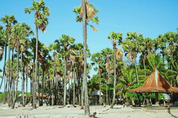 Lasiana Beach West Timor Indonesia