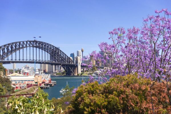 Lavender Bay - Sydney shore excursions