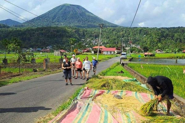 Minahasa Heritage and Waruga Tour