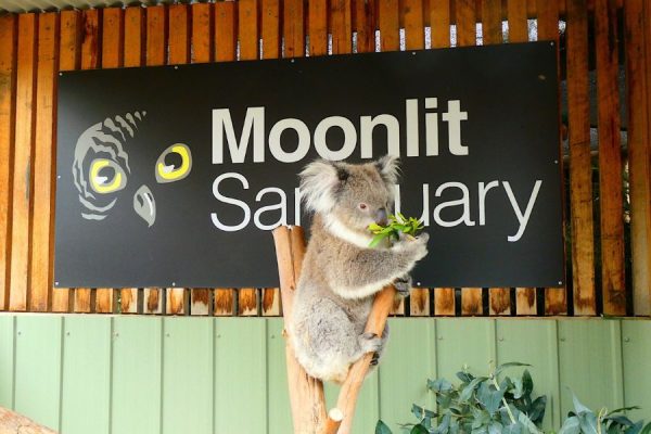 Moonlit Sanctuary Wildlife Park Visit