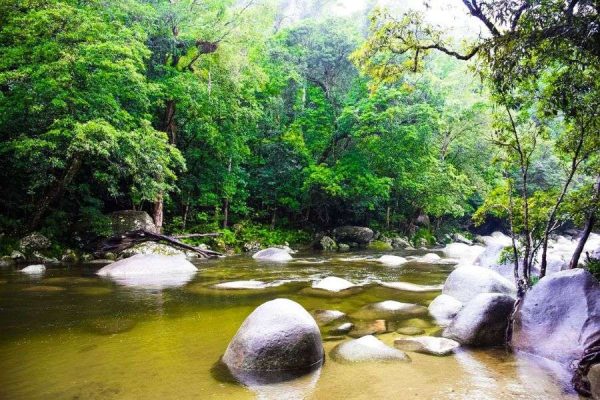 Mossman gorge creek rainforest
