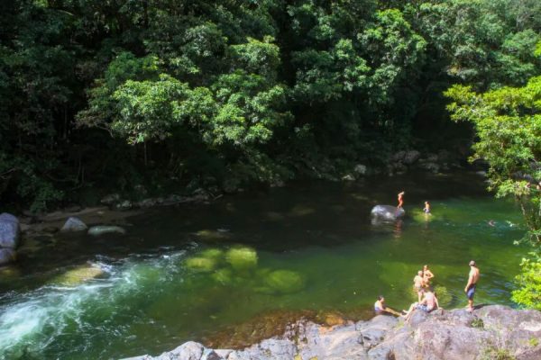 Mossman gorge tropical forest