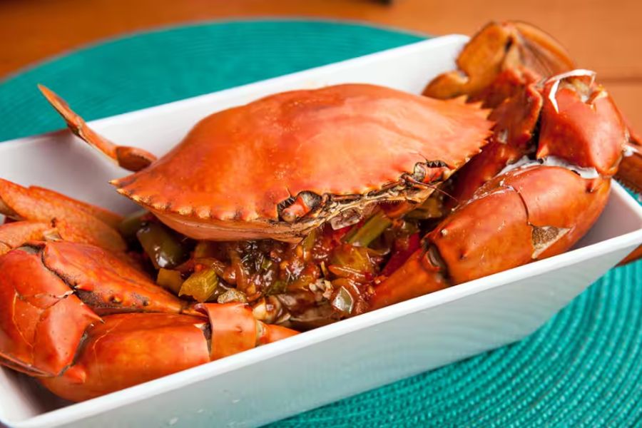 Mud Crab - Darwin shore excursions