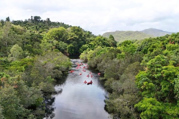 Mulgrave river rainforest cairns