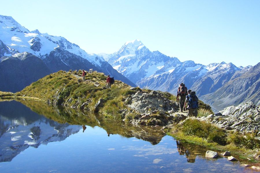 New Zealand Shore Excursions and Scenic Tours for Cruise Passengers