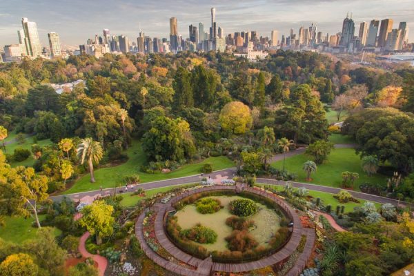 Royal Botanic Gardens - Sydney Shore Excursions