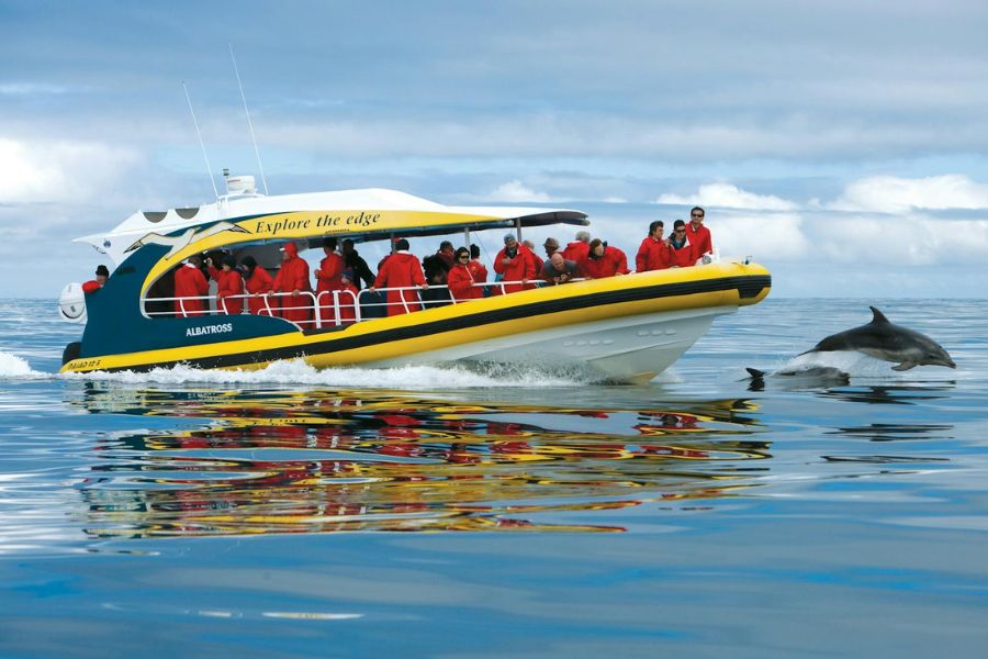 Scenic Ferry Cruise - Hobart Tasmania shore excursions