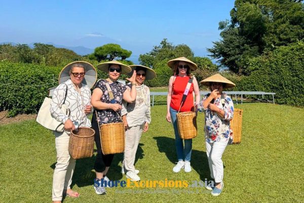 Shimizu Shore Excursions