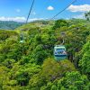 Skyrail Rainforest & Kuranda Village Experience