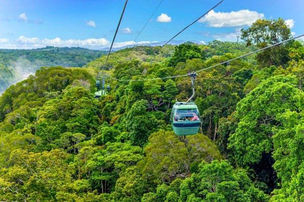 Skyrail Rainforest & Kuranda Village Experience