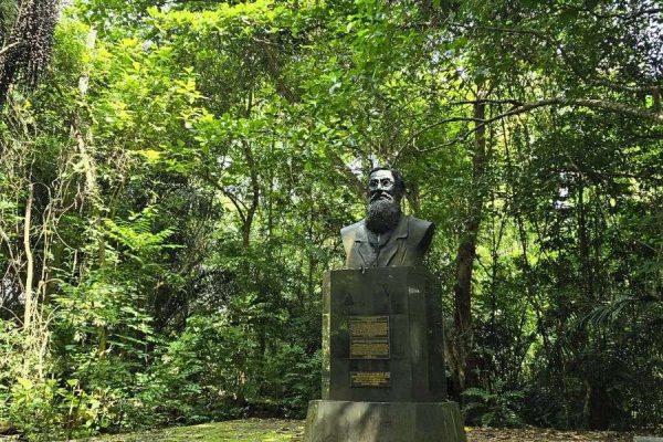 Tangkoko rainforest North Sulawesi Indonesia