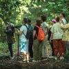 Tangkoko wildlife tour - North Sulawesi Indonesia