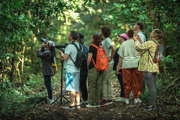 Tangkoko wildlife tour - North Sulawesi Indonesia