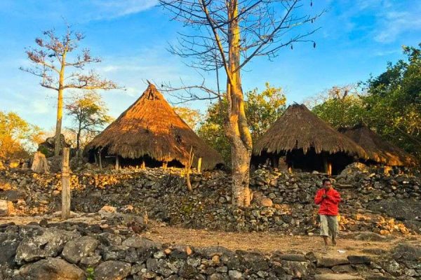 Traditional village in West Timor Indonesia