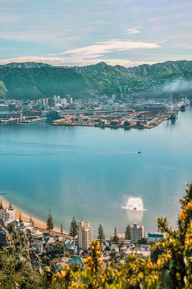 Wellington Harbour - Wellington shore excursions