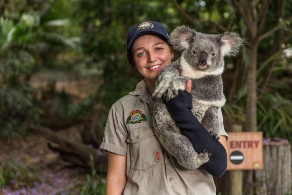 Wildlife Encounters in Lone Pine Koala Sanctuary