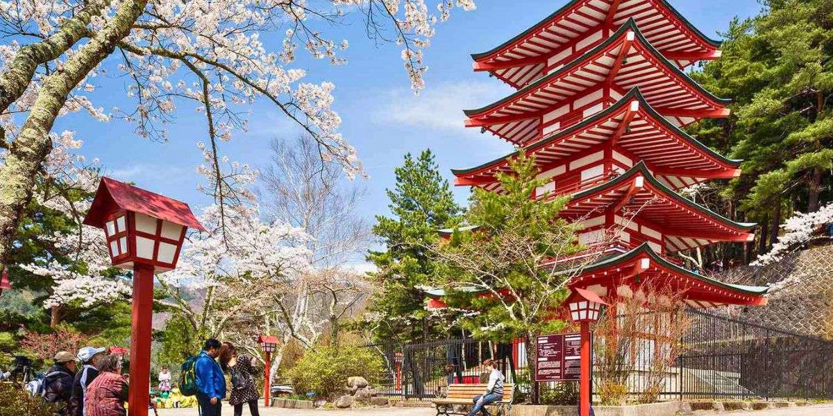 Best Time to Visit Tokyo